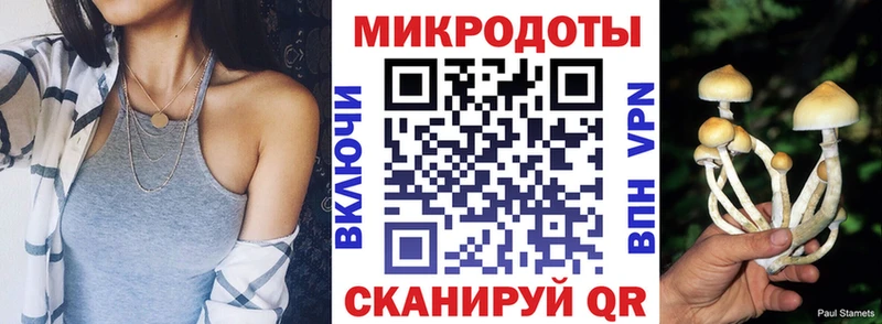 купить наркоту  Новохопёрск  Псилоцибиновые грибы мухоморы 